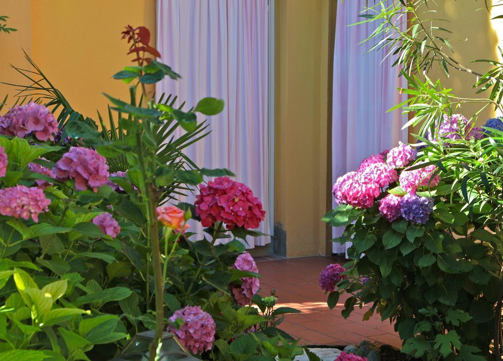 Hotel San Filis San Felice del Benaco Bagian luar foto