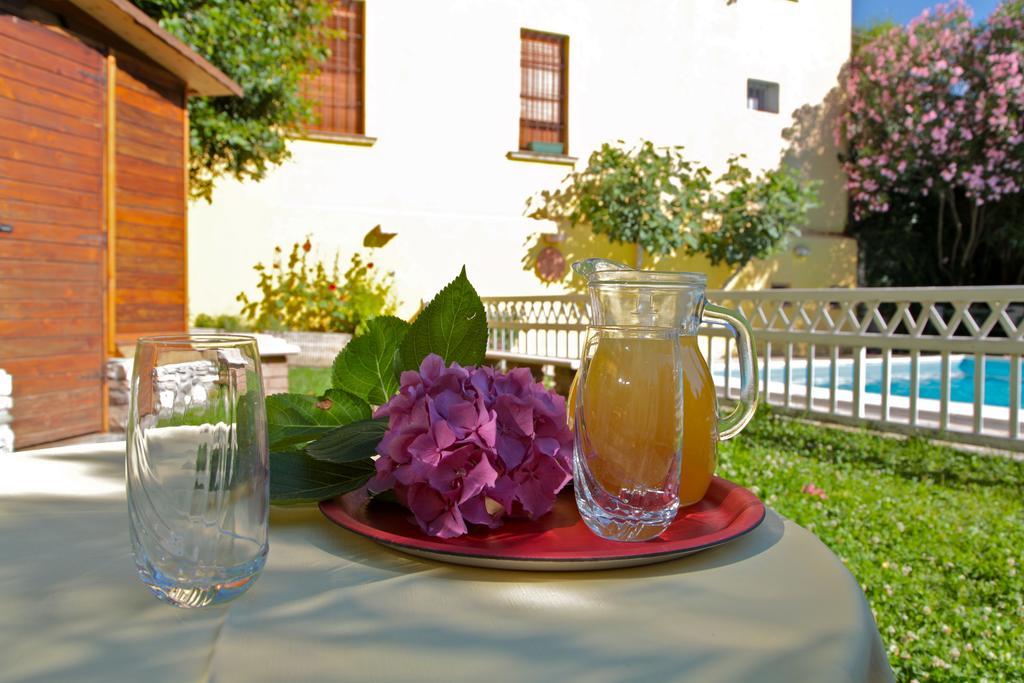 Hotel San Filis San Felice del Benaco Bagian luar foto